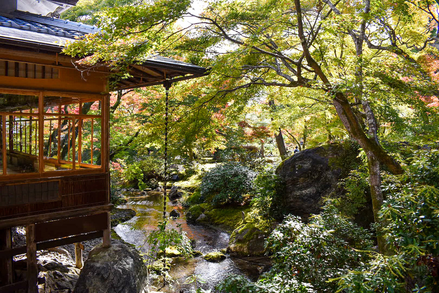 京都・嵐山の観光スポット-春と秋のみ特別拝観できる宝厳院_紅葉の名所の見どころ・特別拝観・期間・ライトアップ・拝観料金