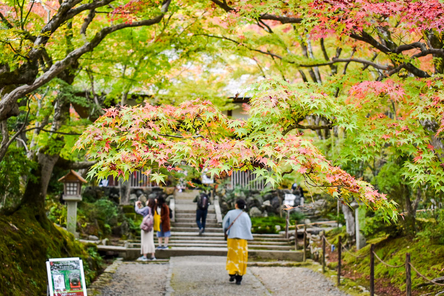 秋の京都-嵐山屈指の紅葉の名所-常寂光寺_歴史-日禛上人の建立