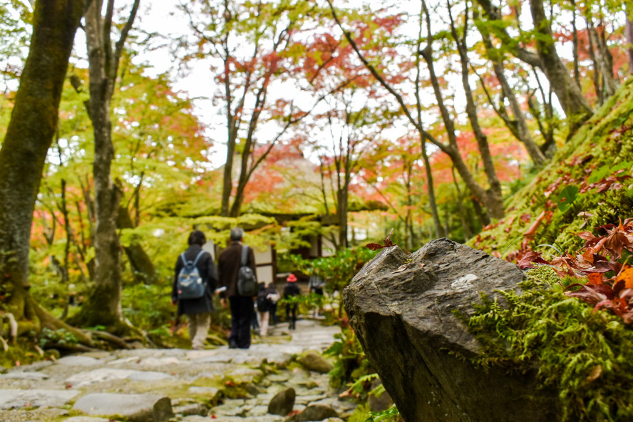 秋の京都嵐山-常寂光寺_見どころ-時雨亭跡_蛙石と紅葉と仁王門