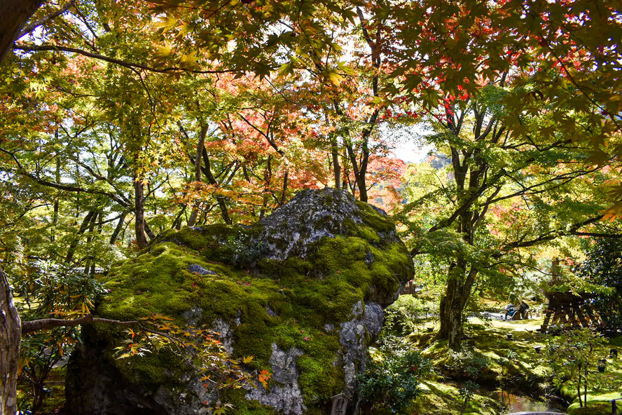 京都・嵐山の観光スポット-春と秋のみ特別拝観できる紅葉の名所「宝厳院」_見どころ-獅子吼の庭-獅子岩