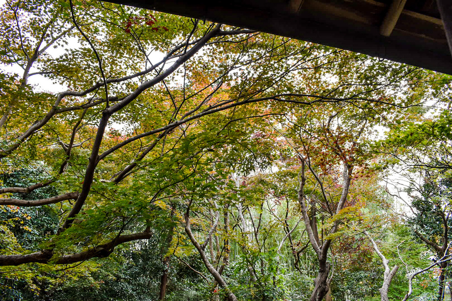 厭離庵-京都嵐山の隠れ家的紅葉スポットにして時雨亭跡地の観光名所_予約はいる？必要？