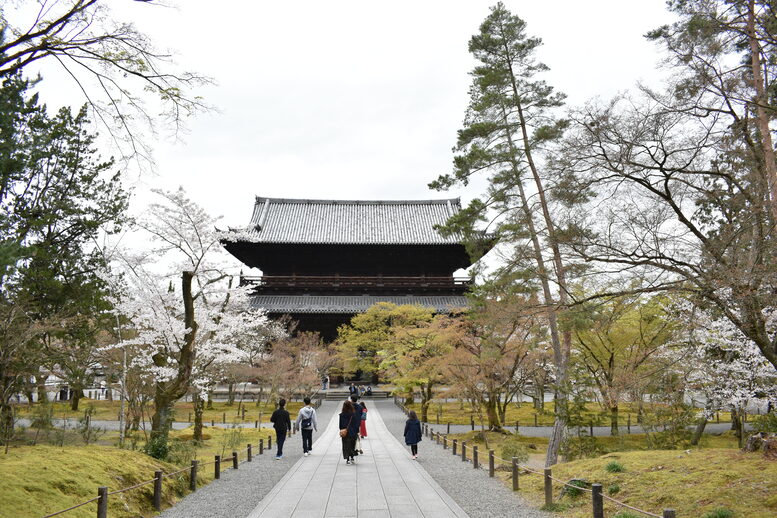 春の京都の名所観光_南禅寺_三門の桜と境内