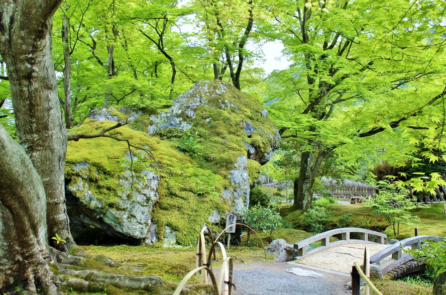 京都・嵐山の観光スポット-春と秋のみ特別拝観できる紅葉の名所「宝厳院」_見どころ-獅子吼の庭-歴史と名前の由来