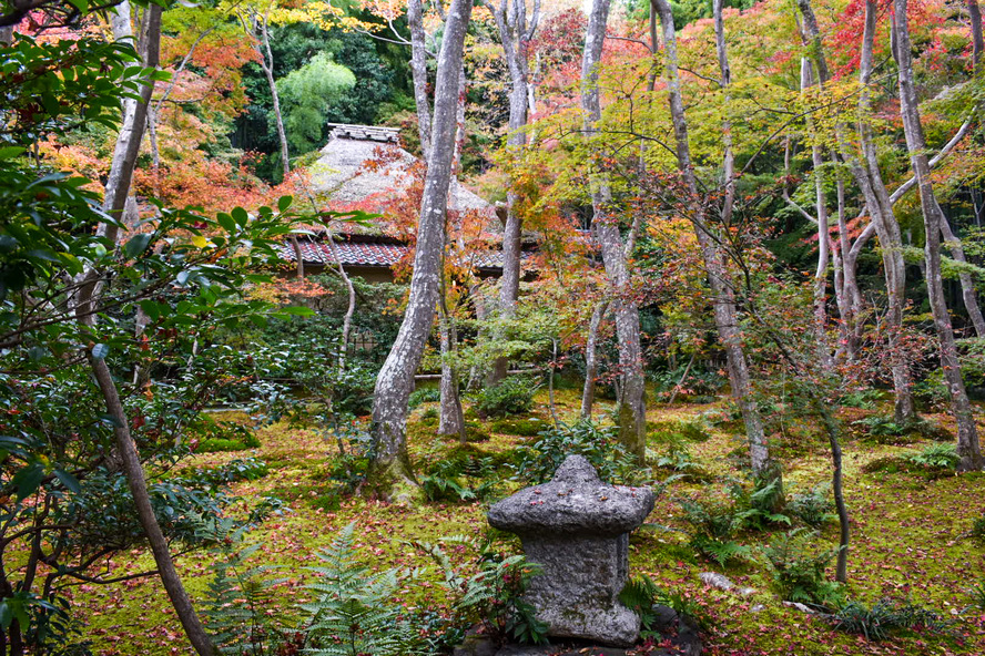 京都嵐山旅行-苔と紅葉と青もみじの祇王寺観光_平家物語と歴史・見どころ・見頃・拝観料・場所