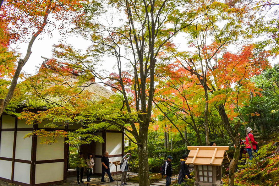 秋の京都嵐山-常寂光寺_見どころ-紅葉と仁王門