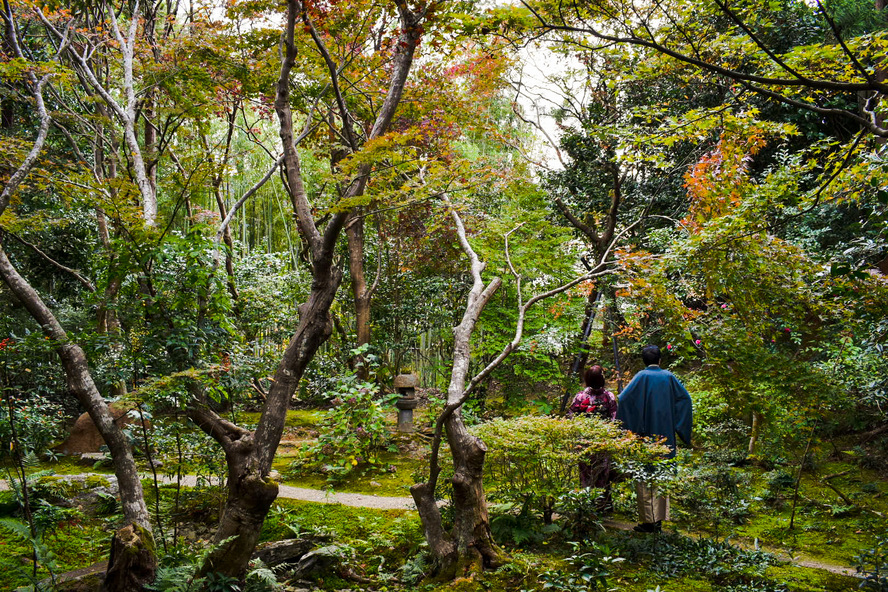 京都嵐山の厭離庵-歴史・名前・見どころ・特別公開の期間・拝観料金・アクセス・予約・入り口はどこ？