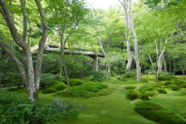 京都嵐山旅行-苔庭と紅葉の散りもみじが見どころの祇王寺観光_アクセスと場所