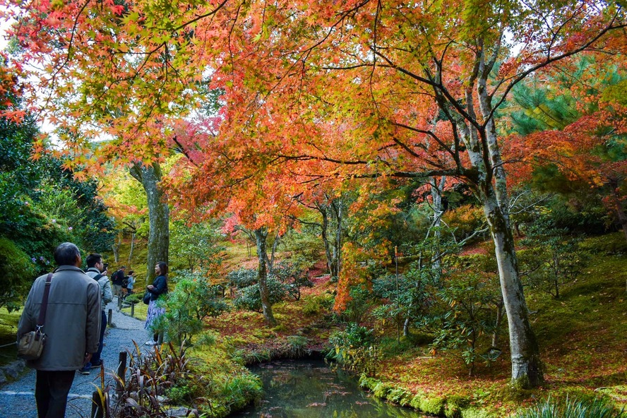 京都・嵐山のオススメ観光名所・世界遺産_天龍寺の拝観料金-百花苑の紅葉