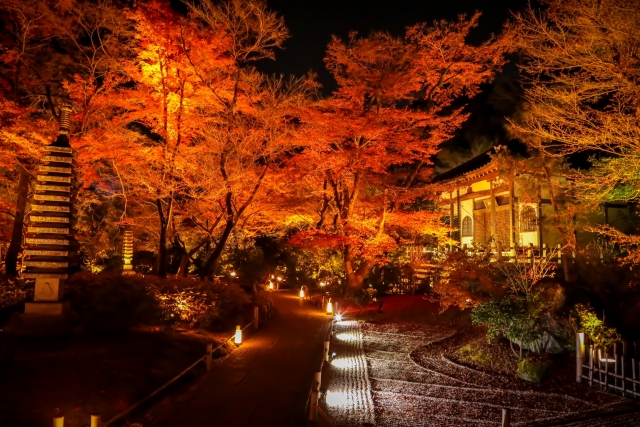 京都・嵐山の観光スポット-春と秋のみ特別拝観できる紅葉の名所「宝厳院」-夜間特別拝観（ライトアップ）