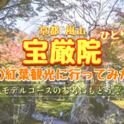 【旅日記】京都嵐山の観光名所ひとり旅_秋の特別拝観-宝厳院へ紅葉旅行_入れない？所要時間や公開期間は？