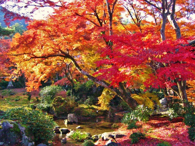 京都・嵐山の観光スポット-春と秋のみ特別拝観できる紅葉の名所「宝厳院」_歴史-中世・近世・近代