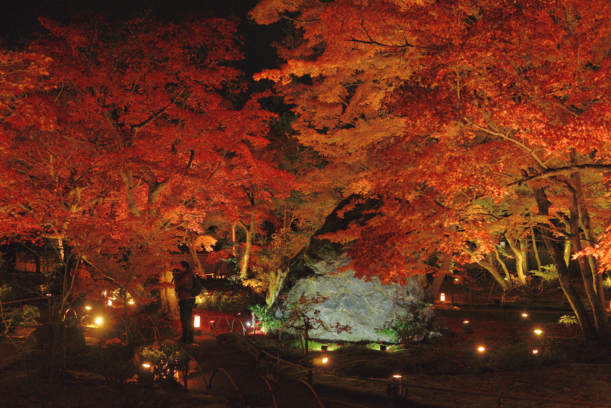 京都・嵐山の観光スポット-春と秋のみ特別拝観できる紅葉の名所「宝厳院」_歴史-応仁の乱以降-中世・近世・近代-燃えるライトアップ