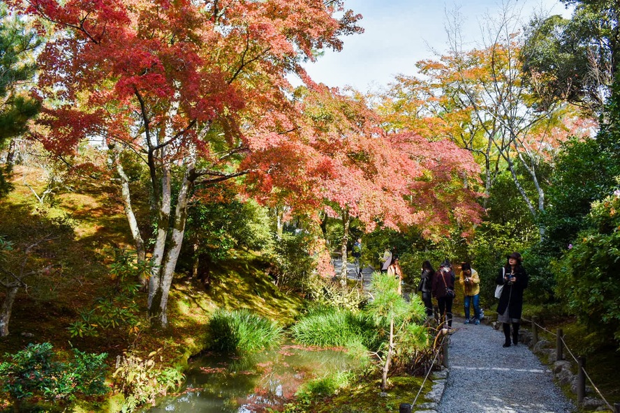 京都・嵐山のオススメ観光名所・世界遺産_天龍寺の歴史-夢窓疎石と足利尊氏の創建_百花苑の秋の紅葉