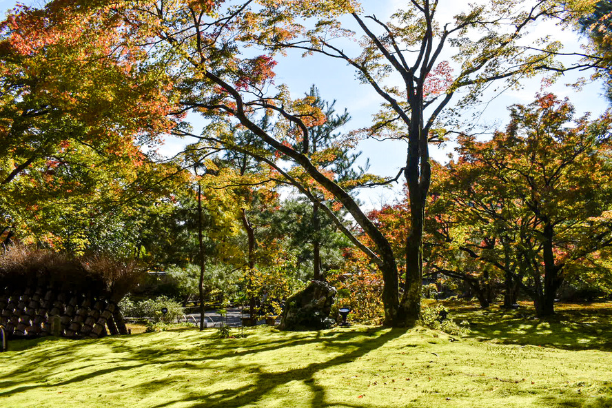 京都・嵐山の観光スポット-春と秋のみ特別拝観できる紅葉の名所「宝厳院」_アクセス・場所・行き方・電車・バス・駐車場