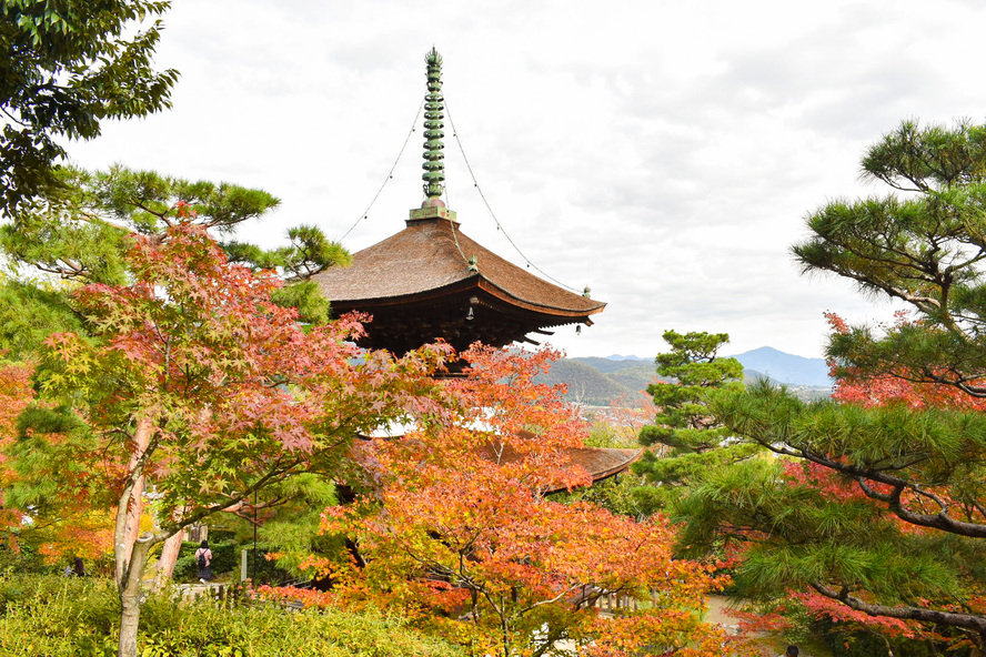 秋の京都嵐山-常寂光寺_見どころ-多宝塔と紅葉と嵯峨野の街並み