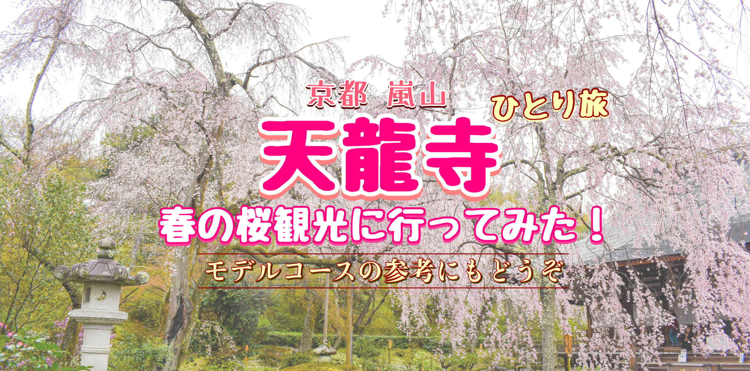 【京都ひとり旅】春の天龍寺に行ってみた！嵐山屈指の桜の風景・だるまのご利益・モデルコース