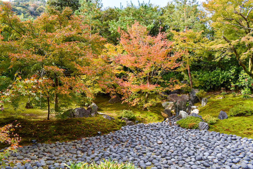 京都・嵐山の観光スポット-春と秋のみ特別拝観できる紅葉の名所「宝厳院」_見どころ-獅子吼の庭-瀧門瀑