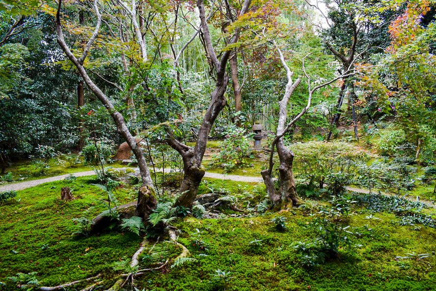 厭離庵-京都嵐山の隠れ家的紅葉スポットにして時雨亭跡地の観光名所_見どころ-書院と紅葉と庭園