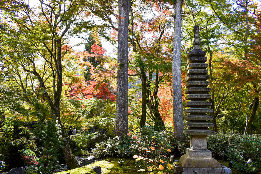 京都・嵐山の観光スポット-春と秋のみ特別拝観できる紅葉の名所「宝厳院」_歴史-建立と細川頼之