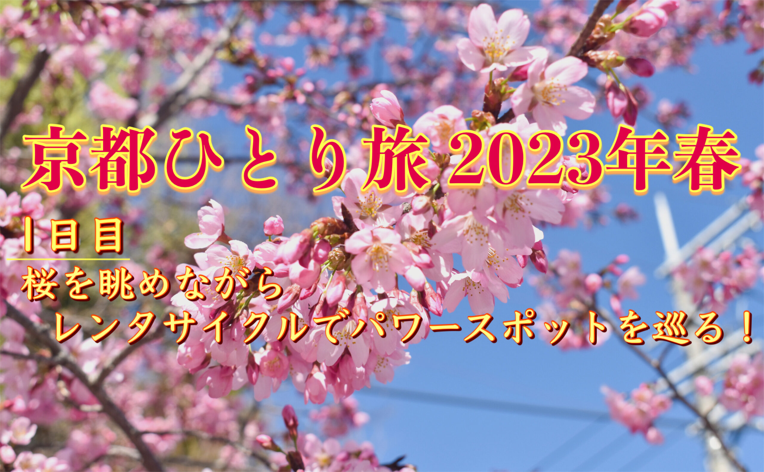 一足早く春の京都を一人旅観光！レンタサイクルで桜とパワースポットを巡る！【2023/3旅日記①】