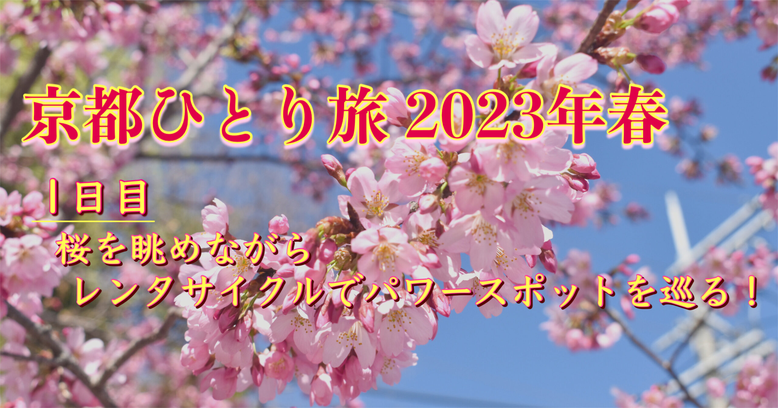 一足早く春の京都を一人旅観光！レンタサイクルで桜とパワースポットを巡る！【2023:3旅日記①】