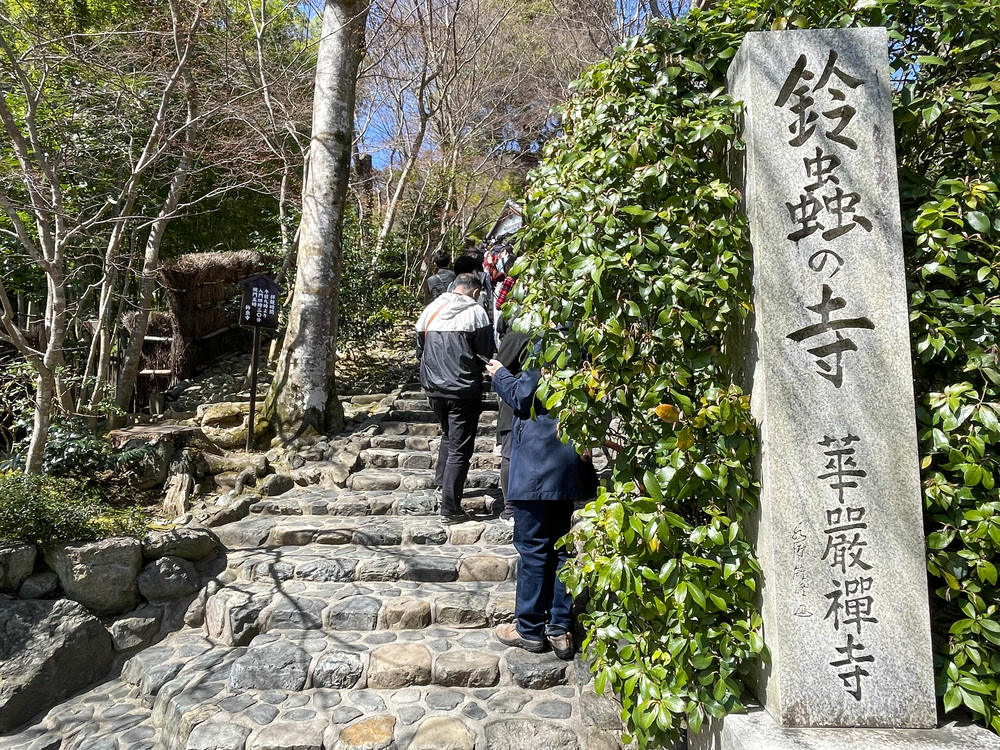 京都ひとり旅_鈴虫寺こと華厳寺_嵐山の自然