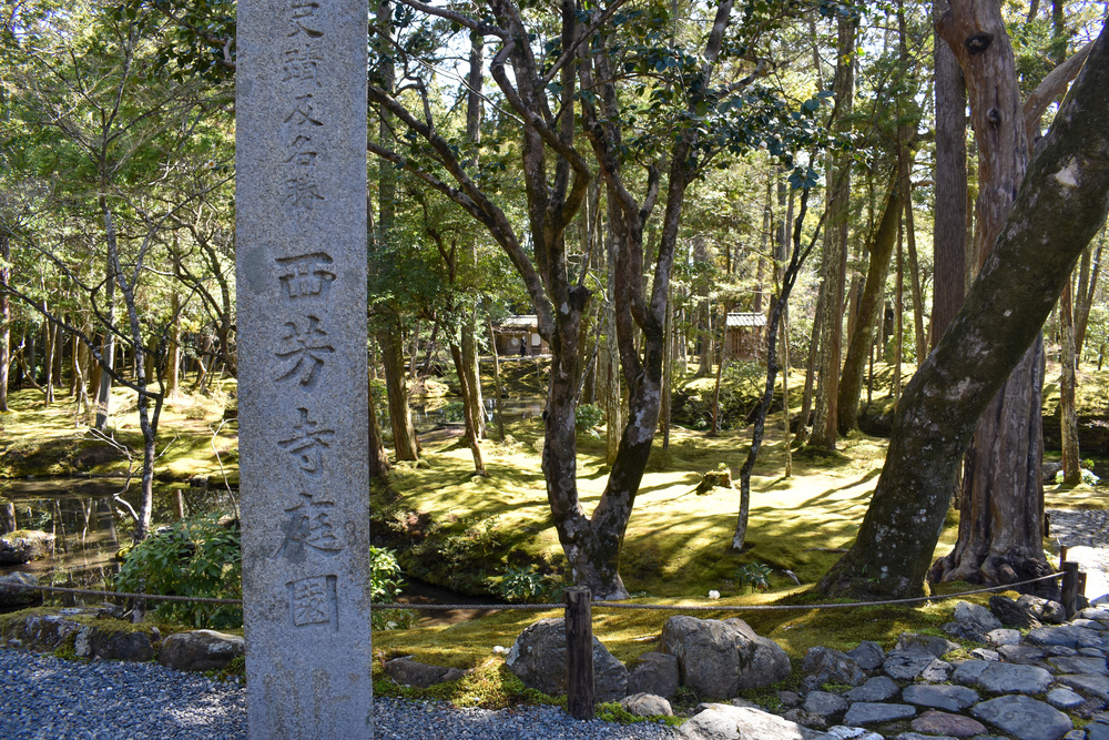京都ひとり旅_苔寺こと西方寺3もののけ姫のような庭園_嵐山の自然