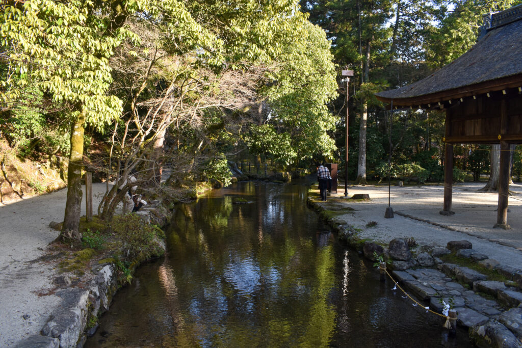 京都ひとり旅_上賀茂神社で初詣5_レンタサイクルで桜とパワースポットを巡る！