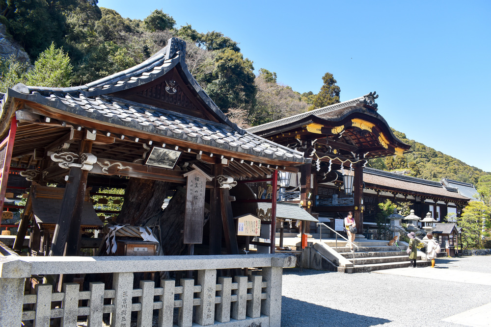 京都ひとり旅_松尾大社-相生の木-縁結び_嵐山の自然とパワースポット