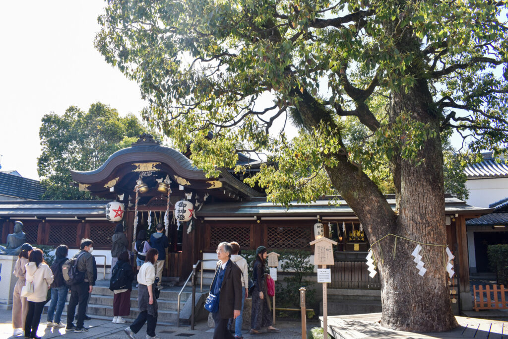 京都ひとり旅_晴明神社3本殿と楠_レンタサイクルで桜とパワースポットを巡る！