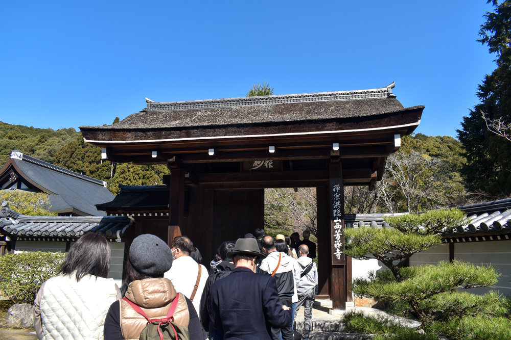 京都ひとり旅_苔寺こと西方寺1_嵐山の自然