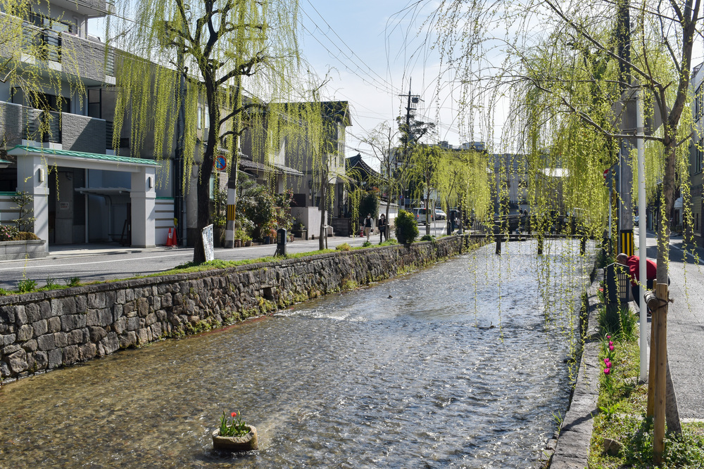 春の京都ひとり旅_自然とパワースポットの名所巡り