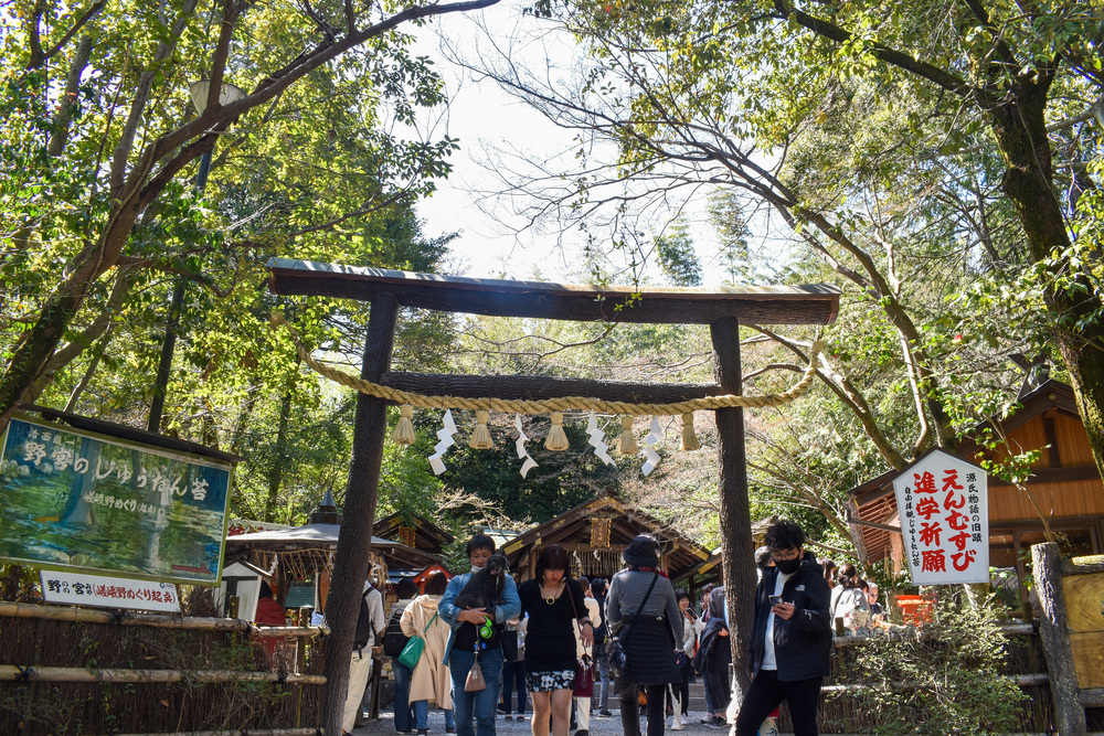 京都ひとり旅_竹林の小径と野宮神社_嵐山の自然とパワースポット