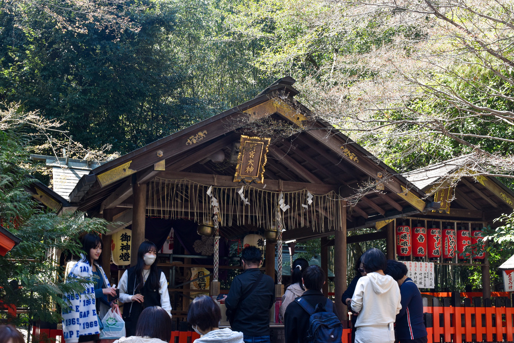 京都ひとり旅_野宮神社_嵐山の自然とパワースポット
