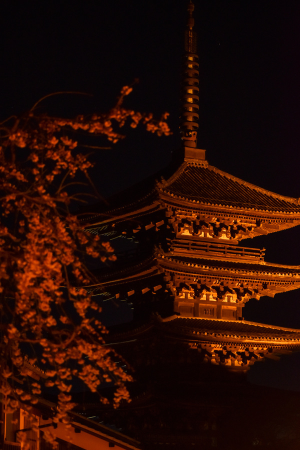 京都ひとり旅_八坂の塔の夜のライトアップ3_レンタサイクルで桜とパワースポットを巡る！