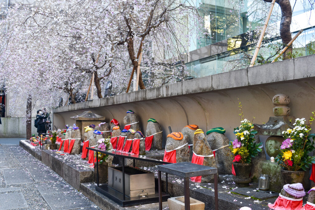 京都ひとり旅_六角堂8枝垂れ桜_レンタサイクルで桜とパワースポットを巡る！