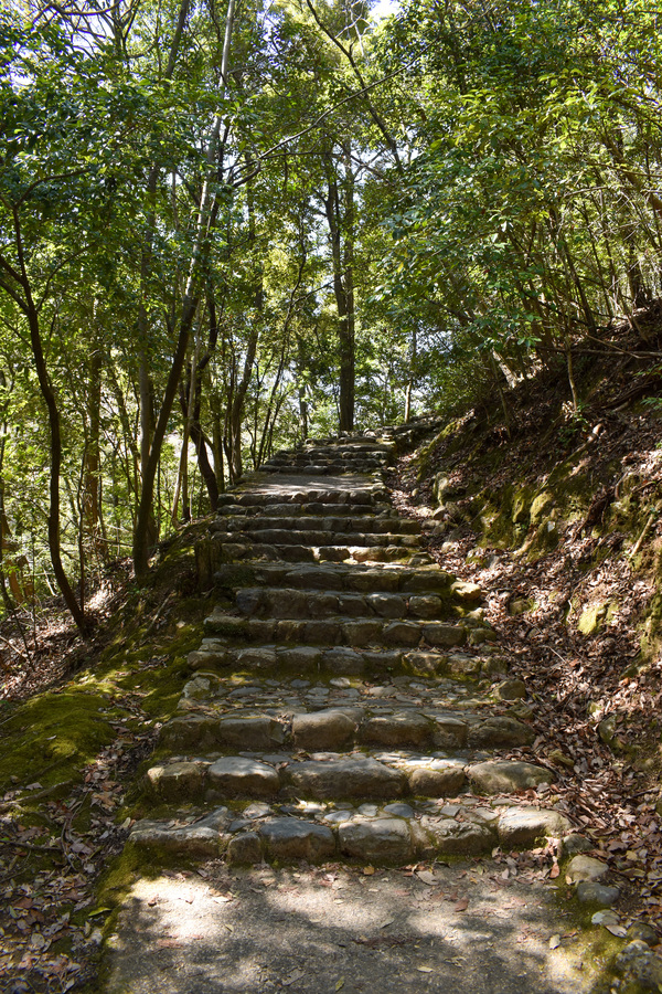 京都ひとり旅_嵐山公園展望台のハイキング_自然とパワースポット