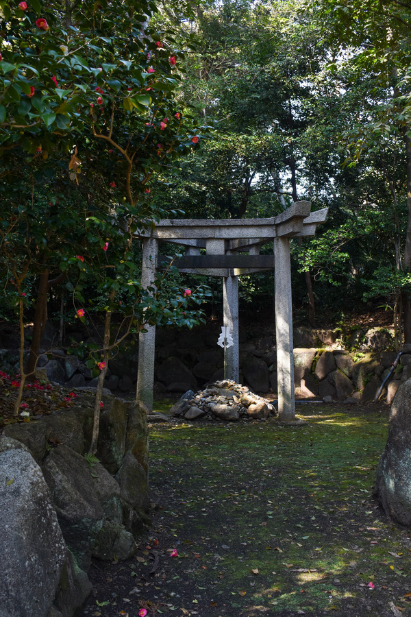 春の京都ひとり旅_蚕ノ社こと木嶋坐天照御魂神社-ミツ鳥居_穴場パワースポット