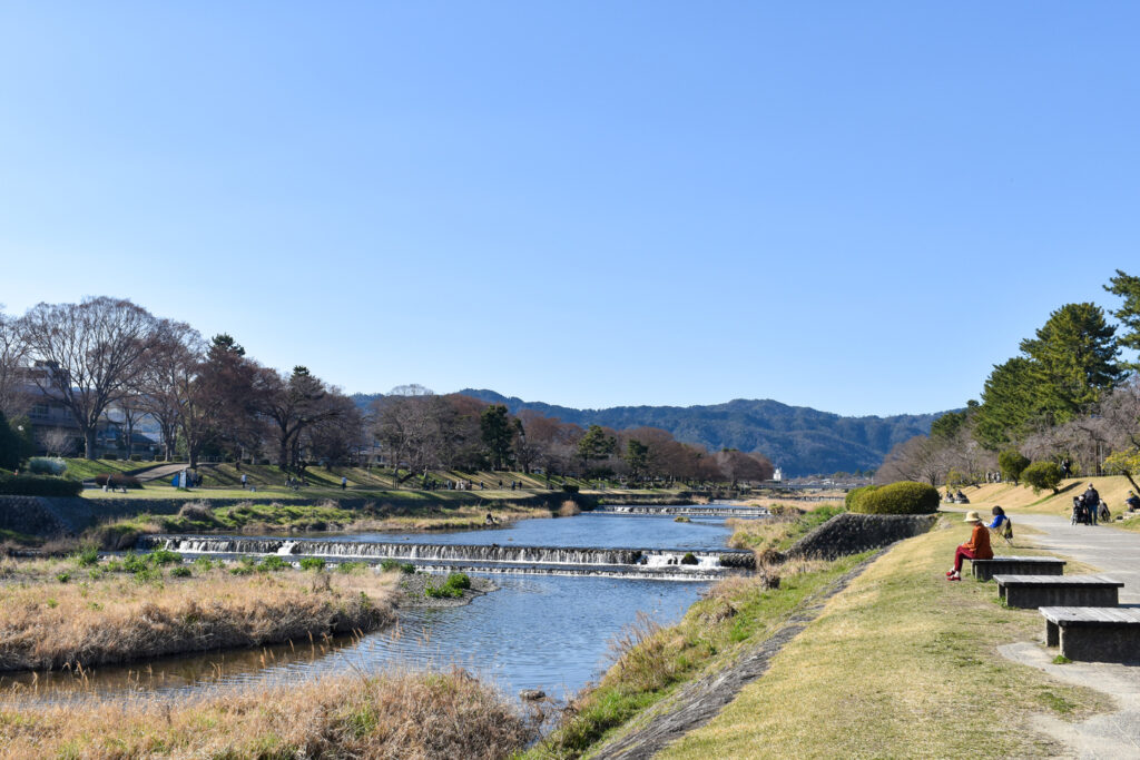 京都ひとり旅_賀茂川_レンタサイクルで桜とパワースポットを巡る！